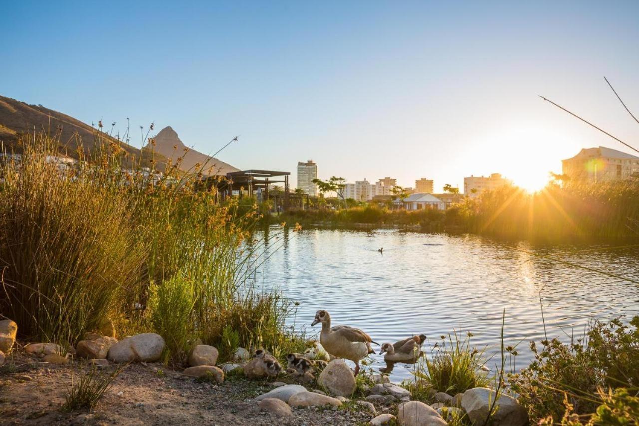 Luxury Apartment, Near V&A Waterfront And Cpt Stadium Cape Town Exterior photo